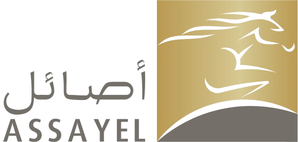 Assayel-removebg-preview